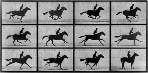 Bagaimana Seorang Fotografer Abad ke-19 Membuat 'GIF' Pertama dari Kuda yang Berlari